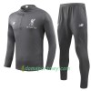 Liverpool Komplet Bluzy Treningowe Szary 2018-2019